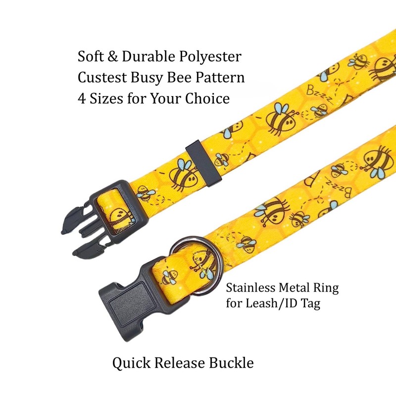 Ovale Dog Collar Leash Combo Set, Adjustable Collar and 5