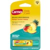 Carmex, Bálsamo Labial Hidratante Daily Care Tropicalcolada, Protege y Suaviza,