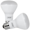 Feit Electric R20DM/10KLED/2 7.5 Watt E26 R20 Soft White LED