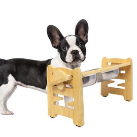 Cat Bowls Elevated Dog Bowls with Stand Adjustable Raised Dog Bowl for Small Medium Size Dogs Cats Food Feeding Station