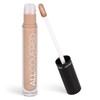 INGLOT All covered under eye conceptor 107