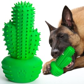 Pamlulu Dog Chew Toys Dog Toothbrush Stick Teeth Cleaning Brush Dental for Small Medium Large Dog, Rubber Dog Squeaky Toys for Aggressive Chewers Cactus Tough Toys