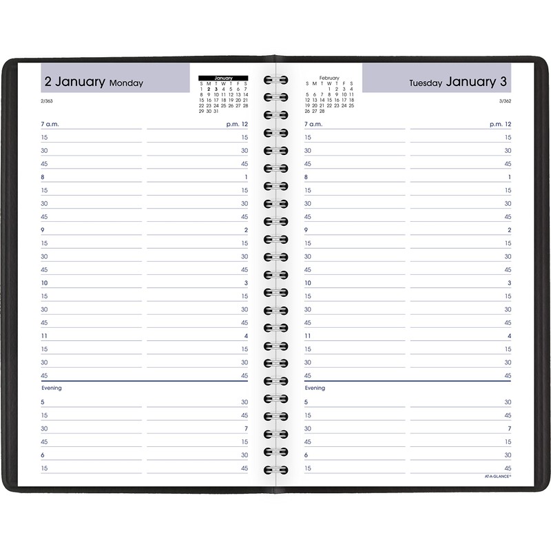 AT-A-GLANCE DayMinder 2023 Daily Appointment Book Planner, January - December,