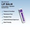 Surface SPF 30 Sunscreen Lip Balm, Broad Spectrum SPF Lip