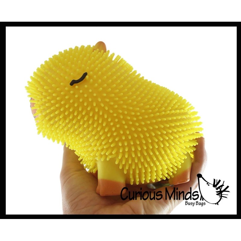 Not Specified 1 RANDOM Capybara 6" Puffer Air- Filled Squeeze