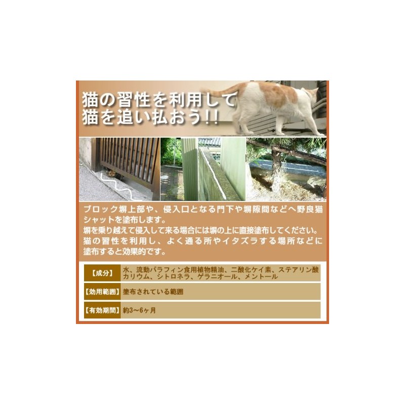 Stray Cat Shut 21423