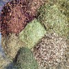 HERB MAN TEAS HEART TEA - with Reishi Mushroom lowers