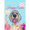 Goldendoodle Blonde - Best of Breed - HHS Easter House