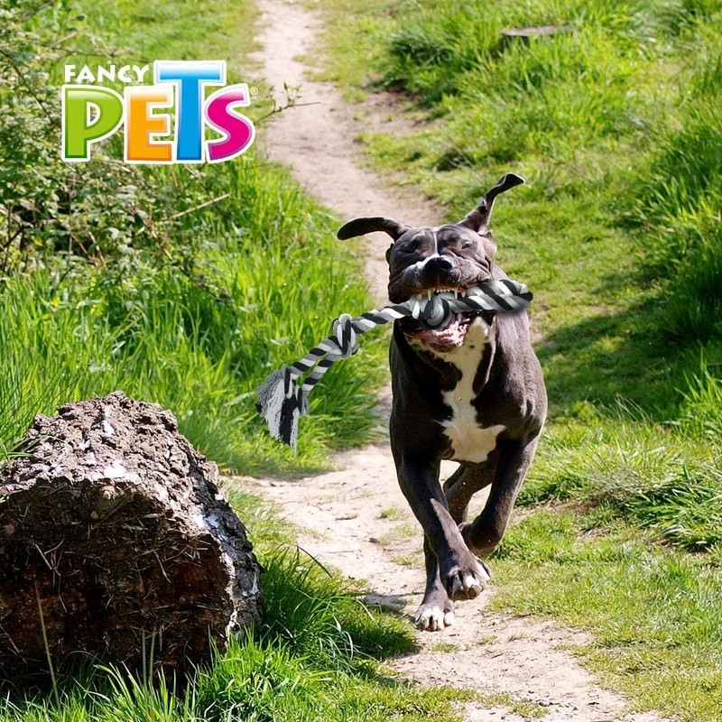 Fancy Pets Juguete de Hilo para Perros Grandes. 56 cm.