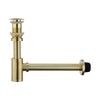 Heixutas Brass P Trap with Bathroom Sink Stopper : 1-1/4