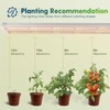 FREELICHT 1 Pack 4ft LED Grow Light with Timer, 60W