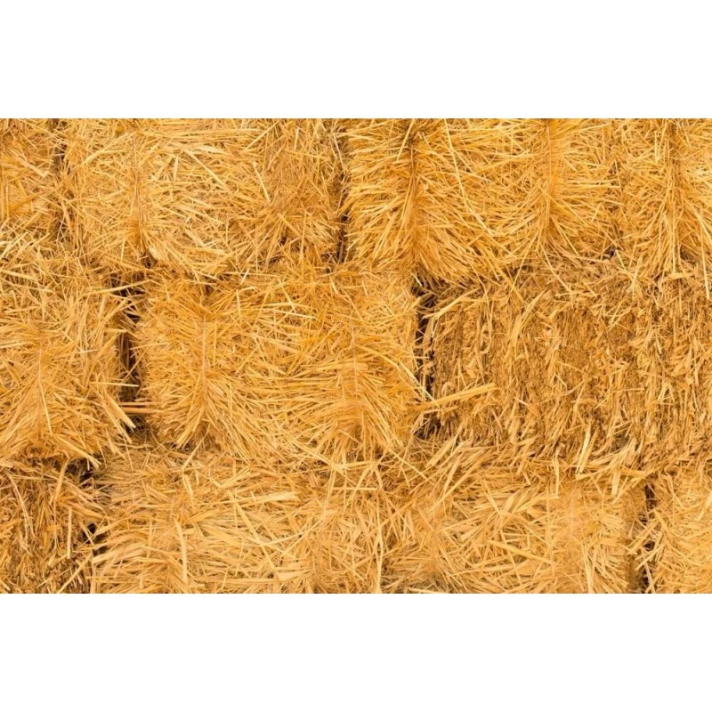 CZ Grain Natural Wheat Straw - 1 LB Dry Straw,