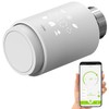 revolt Thermostat: Programmable WLAN Radiator Thermostat with App and Voice
