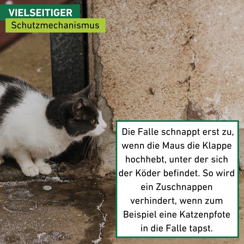 Snap Mouse And Rat Trap, Black