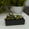 WGVI Long Rectangle Ceramic Planter Vase in Black 14" x