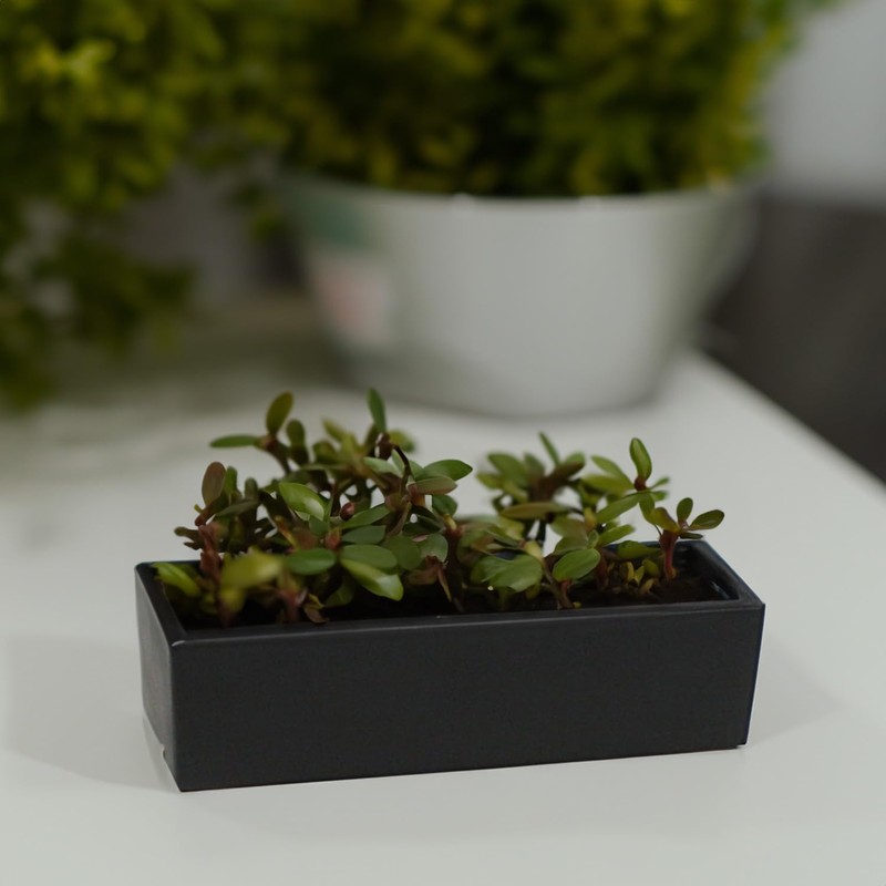 WGVI Long Rectangle Ceramic Planter Vase in Black 14" x