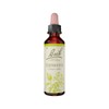 Bach Flower Remedies Clematis 20ml