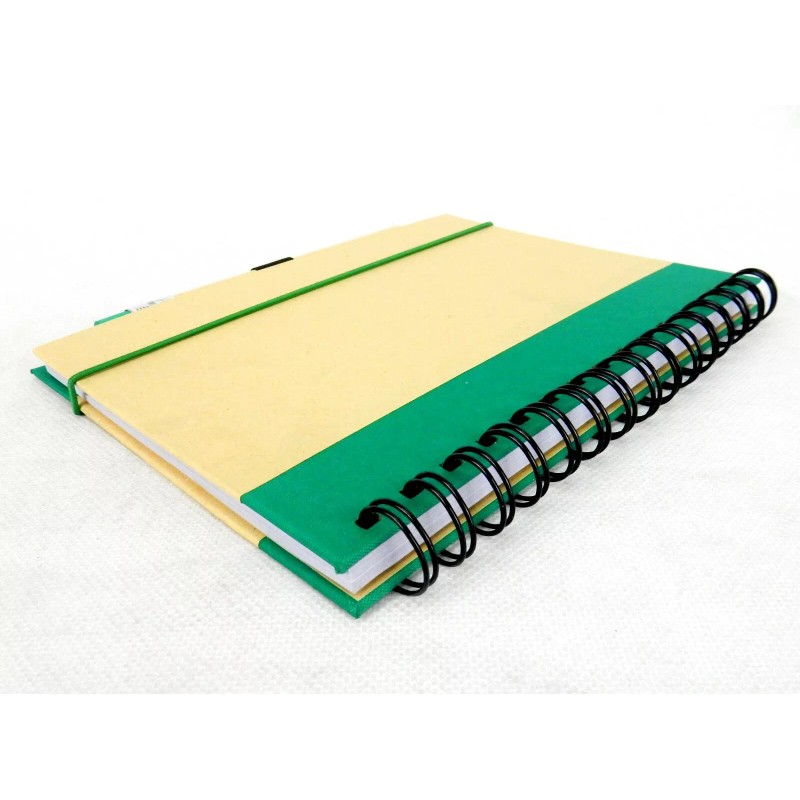 Sweda Recycled Notebook & Pen Set, Green & Beighe, Wire