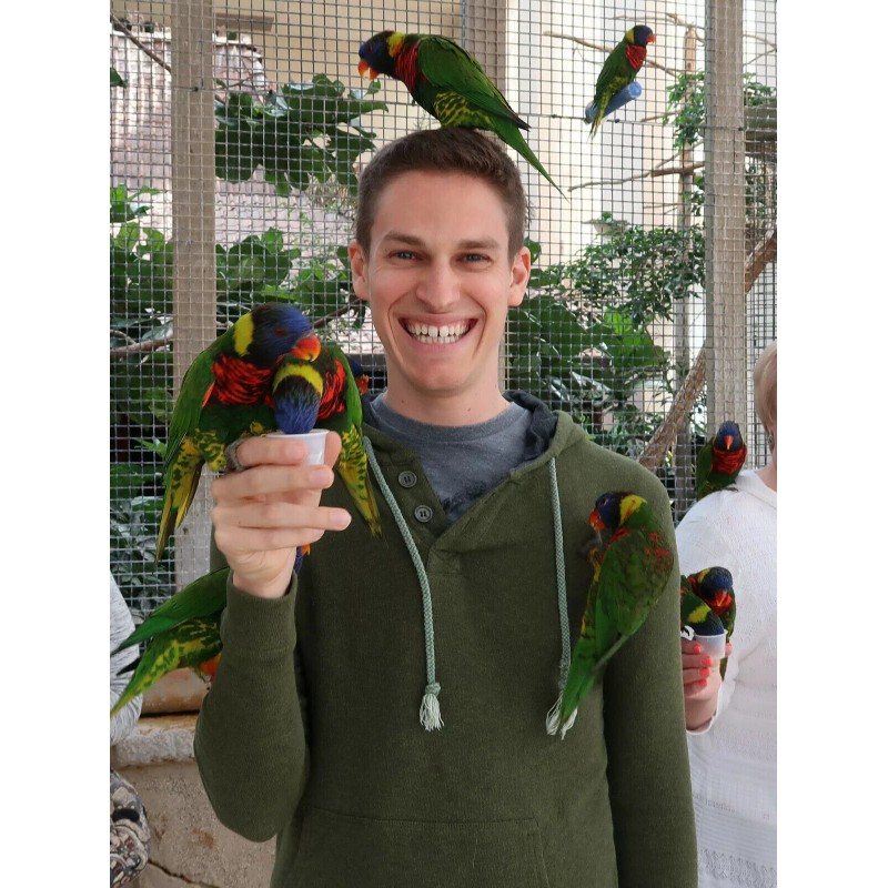 Bird Aid Pet Anabolic Speed & Strength Tablets For Pigeons