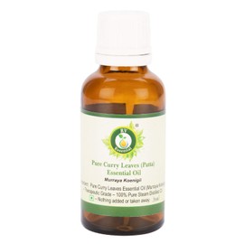 R V Essential ​Pure Curry Leaves (Patta) Essential Oil 15ml (0.507oz)- Murraya Koenigii (100% Pure and Natural Steam Distilled)
