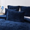 Sunshine Nicole Distressed Velvet Comforter Set, Distressed Velvet Face and