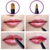 2 Pcs Retractable Lip Brushes Portable Dual End Lipstick Brush