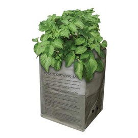 Taylors Bulbs Outdoor Potato Growing Bag