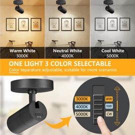 VANoopee 3-Color Dimmable LED Ceiling Spotlight Flush Mount Adjustable Spotlight Directional Spot Lights Indoor Bright Accent Fixture for Living Room Bedroom - CRI90 36° Flicker Free 10W 1000lm Black