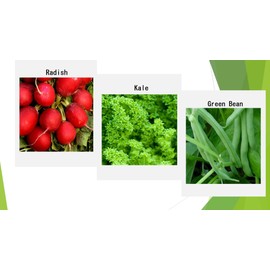 Premium Winter Vegetable Seeds Collection for Planting Organic Non-GMO Heirloom Seeds Radish, Pea, Broccoli, Beet, Carrot, Cauliflower, Green Bean, Kale, Arugula, Gardner and Chef Favorites