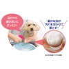 Pet Kirei Shampoo for Limbs After Walking, For Dogs, Refill
