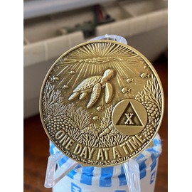 Sea Turtle 10 Year AA One Day at A Time Seaturtle Medallion Serenity Prayer Chip