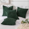 MIULEE Pack of 4 Christmas Dark Green Couch Throw Pillow