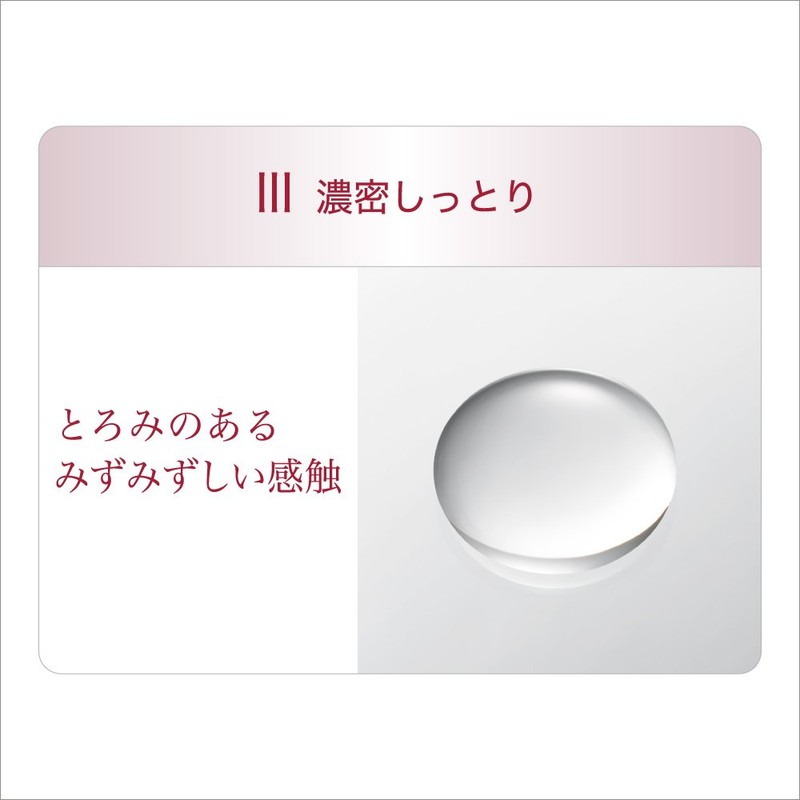 エビータ ボタニバイタル ディープモイスチャー ローション III濃密しっとり ナチュラルローズの香り 化粧水