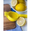 Fox Run 5539 Lemon Juicer, Manual