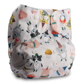 Littles & Bloomz, Reusable Pocket Cloth Nappy, Fastener: Popper, Set of 1, Pattern 12, with 1 Microfibre Insert