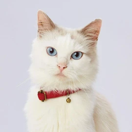 Petio Collar Necoco Cat Collar Red Cat Collar