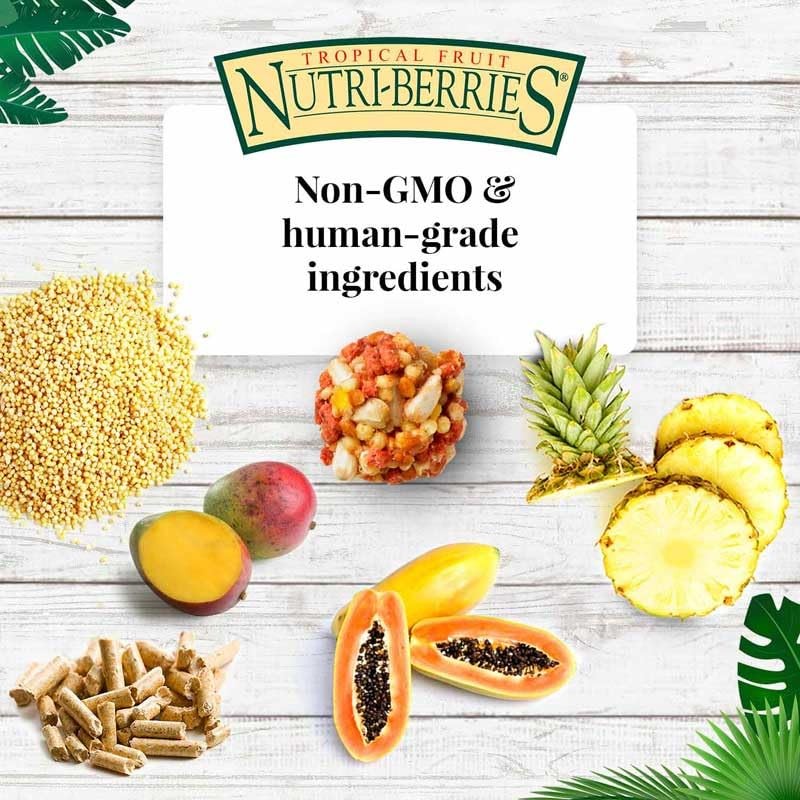 LAFEBER'S Tropical Fruit Nutri-Berries Pet Bird Food, Made with Non-GMO