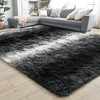 Noahas Fluffy 4x6 Area Rugs for Bedroom Living Room,Black and