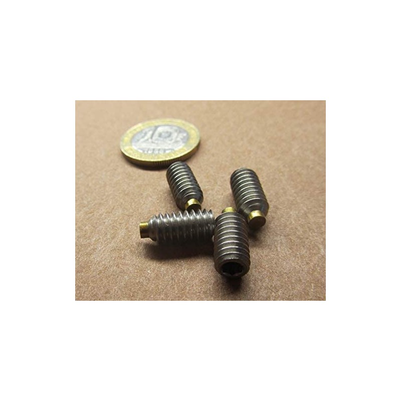 18-8 Stainless Steel Brass Tip Set Screw 1/4"-20 x .500"