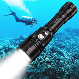 GoZebra Diving Flashlight, D20 3200 Lumen Scuba Dive Light, Rechargeable Diving Lights Underwater Waterproof Flashlight with Hidden USB C Charging Port for Under Water Deep Sea Cave