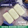Lavender Dog Shampoo - Value Pack - 9 Pcs