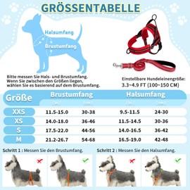 Eyein No-Pull Dog Harness with Lead, Soft Padded, Reflective, Adjustable, Chest Harness for Puppies, Small Dogs, Large Dogs, Pets, Cats (Red, XXS)