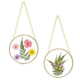 Himitimi 2pcs Double Glass Frame for Pressed Flowers, Brass Hanging Photo Frame Vintage Round Pressed Flower Frame DIY Artwork Display Picture Frame for Home Wall Decor(Gold, 6.3 Inch)