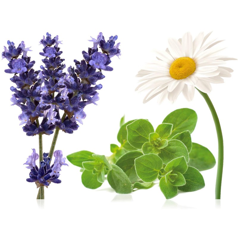 doTERRA Serenity Essential Oil Restful Blend 15 Milliliter (Pack of