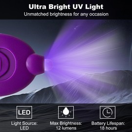 Klumuke Mini UV Keychain Flashlight, LED Black Light, Portable Small UV Light, Ultra Bright 12 Lumen Tiny Flashlight for Pet Stains, Scorpions, and Document Verification (12PCS)