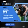 V-Force MAX 40 Tablets – Herbal Formula for Energy &