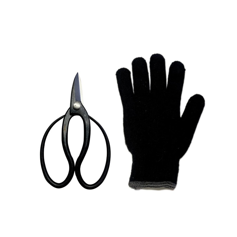 Nagunsha Arkland Sakamoto Okyuho Shears, Left Handed, Yasui Steel Blue