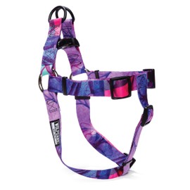 Wolfgang Premium No Pull Dog Harness, XL Dog Harness, Durable & Easy to Clean Nylon with Quick Clip Buckles, for Training & Daily Use, Made in USA, Daydream Print (1 Inch x 23-38 Inch)