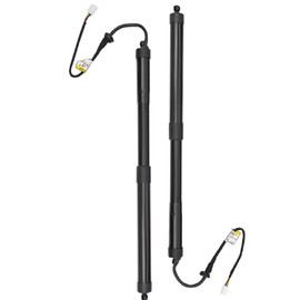 Rear Tailgate Hatch Lift Support for 2019 2020 2021 2022Toyota RAV4, Liftgate Lift Support Gas Spring Struts, Rear Tailgate Bracket OEM 6892042020, 6891042060