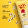 Burt's Bees Face Wash Deep Facial Cleansing Cream College Back-to-School